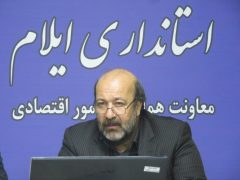 استان ایلام در جذب سرمایه گذار خارجی رتبه دوم کشور را دارد