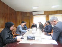 نشست گروه کاری زنجیره ارزش استان برگزار شد