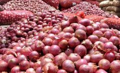 وصول جریمه شش میلیارد و ۸۰۰ میلیون ریالی از قاچاقچیان پیاز در مهران