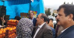 پلمپ دو واحد متخلف در شهر ایلام