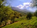 حفاظت ۱۴۰ جنگلبان از عرصه های جنگلی استان ایلام