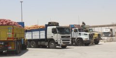 صادرات ۲۹۴ هزار تُن محصولات کشاورزی از مهران به عراق
