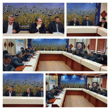 توزیع  ۸۴ تن مرغ با قیمت مصوب ۶۵۷۰۰ تومان به مناسبت ماه مبارک رمضان در استان ایلام
