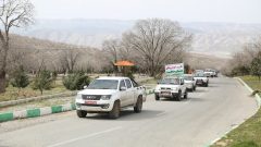 آماده باش کامل نیروهای حفاظتی و جنگل بانان برای حفاظت از عرصه های منابع طبیعی استان ایلام