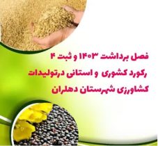 ثبت ۴ رکورد کشوری و استانی در تولیدات کشاورزی شهرستان دهلران