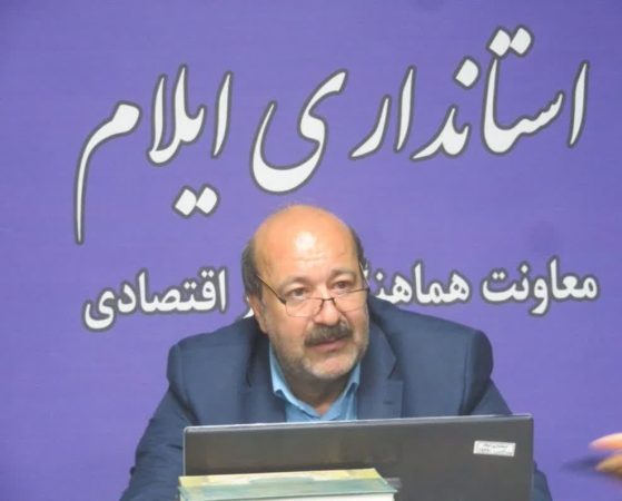 رکورد تولید کلزا در استان ایلام شکسته شد