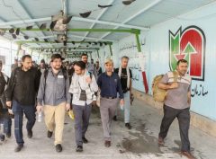 تمهیدات لازم برای برگشت زوار تاسوعا و عاشورای حسینی از مرز مهران فراهم است