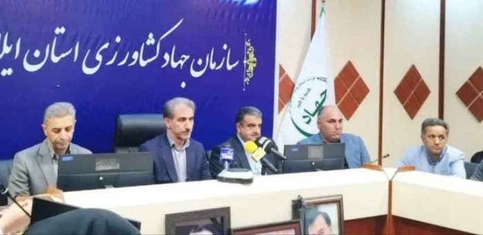 ۸۰ درصد مطالبات گندمکاران در اقصی نقاط استان پرداخت شده است