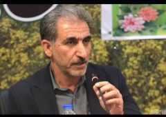 تولید بیش از ۱۰ محصول زراعی شاخص در ایلام