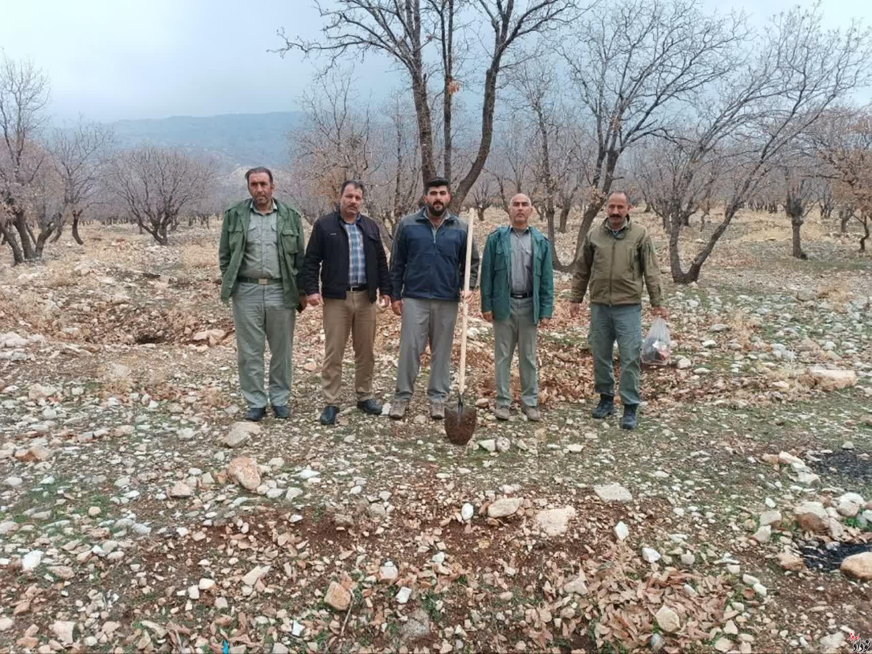 غرس بیش از 200 اصله نهال در محدوده پارک جنگلی چغاسبز ایلام , با حضور مریم بالوی فیلی خبرنگار نودادامروز غرس بیش از 200 اصله نهال در محدوده پارک جنگلی چغاسبز ایلام , با حضور مریم بالوی فیلی خبرنگار نودادامروز