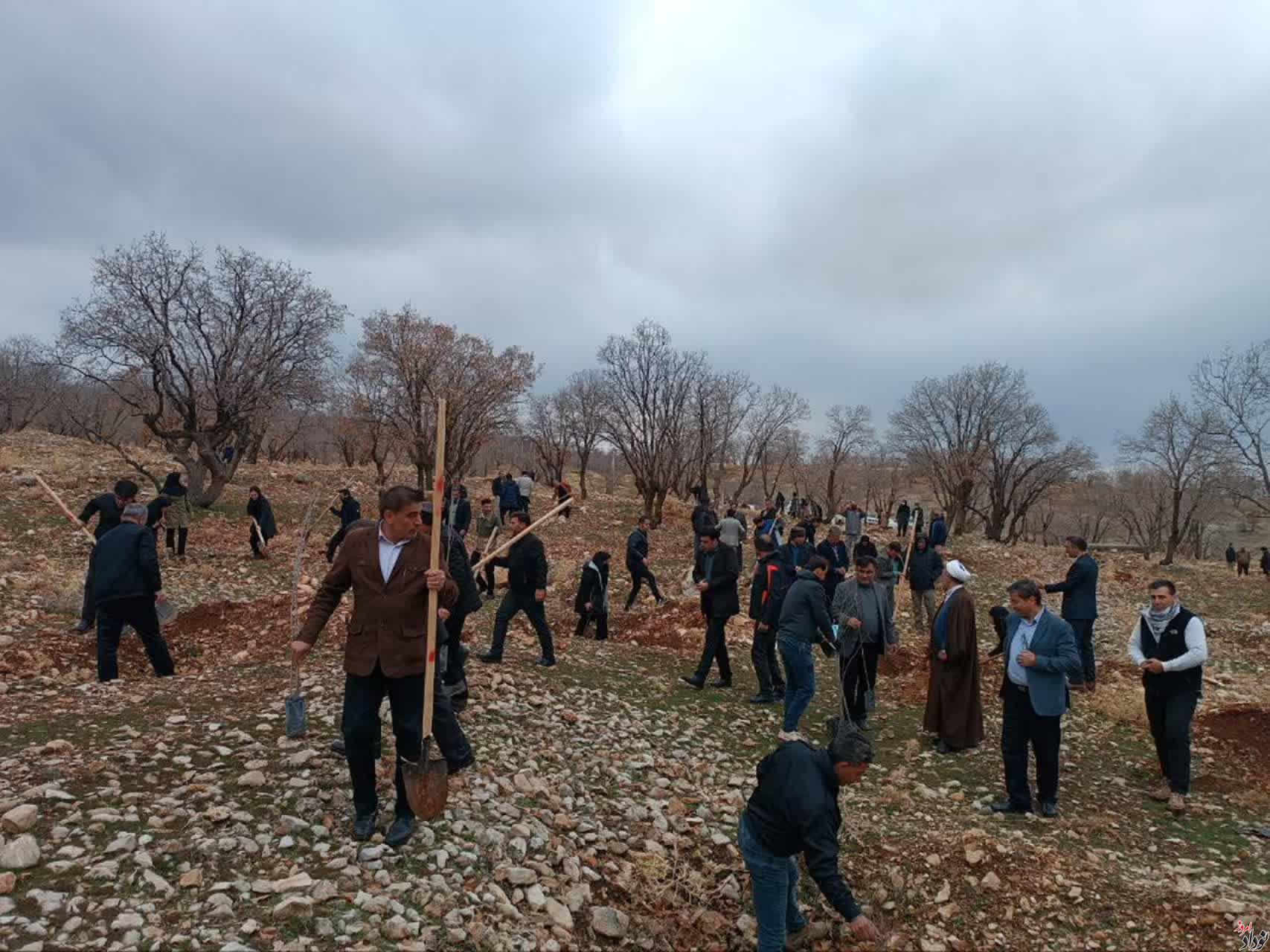 غرس بیش از 200 اصله نهال در محدوده پارک جنگلی چغاسبز ایلام , با حضور مریم بالوی فیلی خبرنگار نودادامروز غرس بیش از 200 اصله نهال در محدوده پارک جنگلی چغاسبز ایلام , با حضور مریم بالوی فیلی خبرنگار نودادامروز