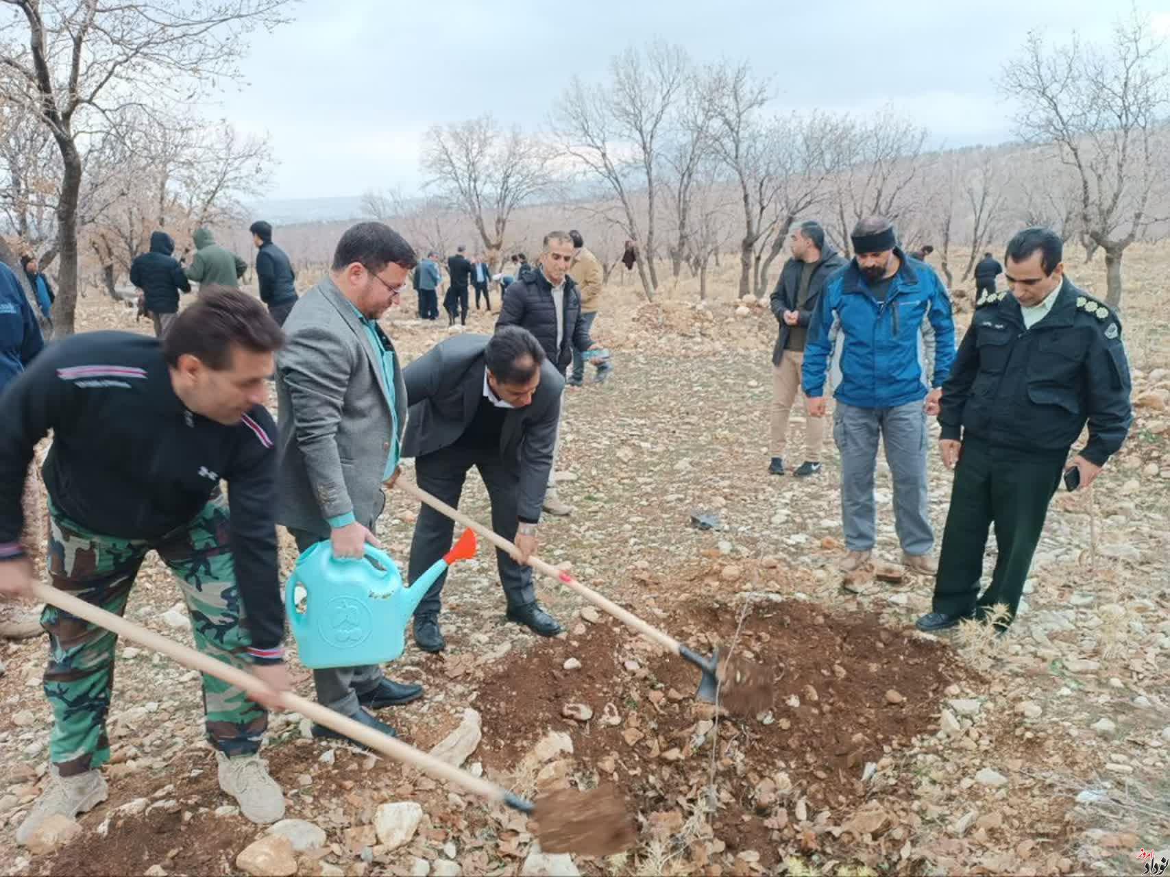 غرس بیش از 200 اصله نهال در محدوده پارک جنگلی چغاسبز ایلام , با حضور مریم بالوی فیلی خبرنگار نودادامروز غرس بیش از 200 اصله نهال در محدوده پارک جنگلی چغاسبز ایلام , با حضور مریم بالوی فیلی خبرنگار نودادامروز