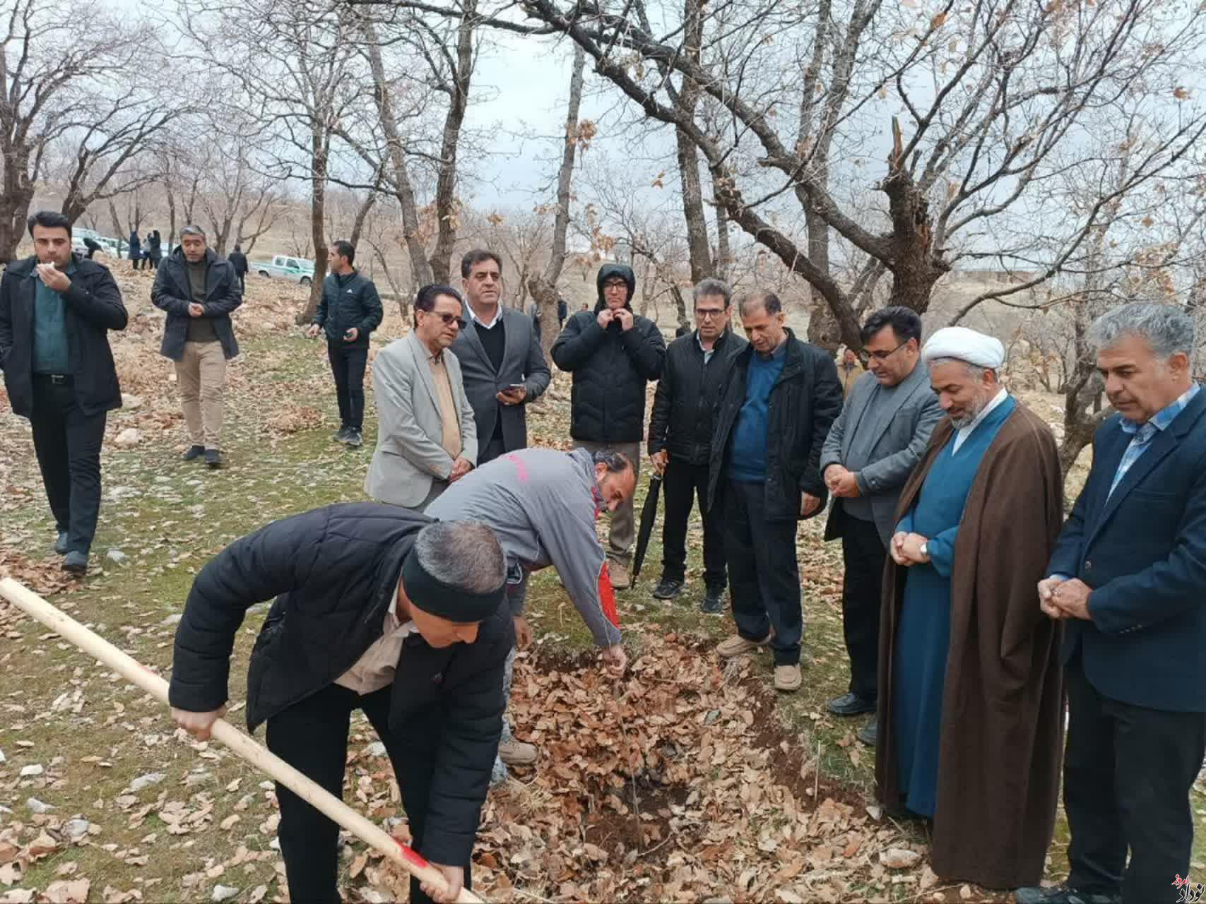 غرس بیش از 200 اصله نهال در محدوده پارک جنگلی چغاسبز ایلام , با حضور مریم بالوی فیلی خبرنگار نودادامروز غرس بیش از 200 اصله نهال در محدوده پارک جنگلی چغاسبز ایلام , با حضور مریم بالوی فیلی خبرنگار نودادامروز