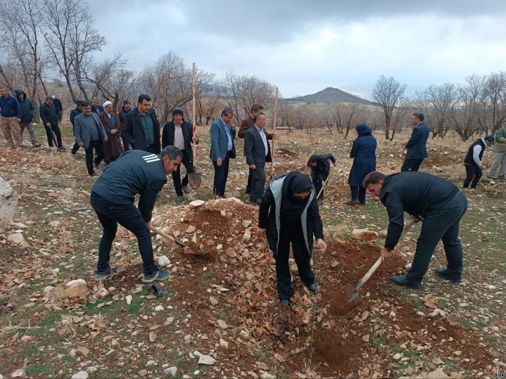 غرس بیش از 200 اصله نهال در محدوده پارک جنگلی چغاسبز ایلام , با حضور مریم بالوی فیلی خبرنگار نودادامروز غرس بیش از 200 اصله نهال در محدوده پارک جنگلی چغاسبز ایلام , با حضور مریم بالوی فیلی خبرنگار نودادامروز
