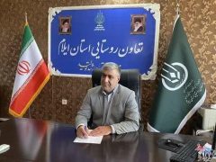 توزیع ۵۹ هزار تن نهاده دامی بین دامداران ایلام توسط تعاون روستایی