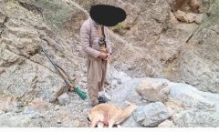 دستگیری شکارچی غیرمجاز پس از ۴۸ ساعت تعقیب و گریز در کولگ مهران