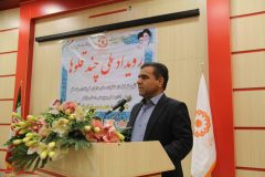 بهره‌مندی خانواده‌های ایلامی با فرزندان چندقلو از حق پرستاری