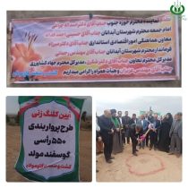 کلنگ‌زنی طرح پرواربندی ۵۵۰ راسی دام مولد در آبدانان