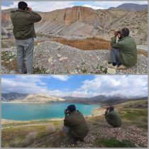 پایش زیستگاه های آبی پرندگان مهاجر شهرستان ایلام