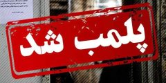 پلمب کبابی متخلف عرضه‌کننده گوشت تک‌سُمی در ایلام