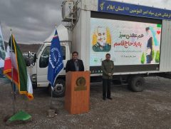 کاشت ۲۴ میلیون اصله نهال طی چهار سال در ایلام