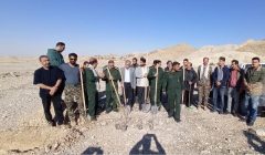 غرس ۱۰۰ اصله نهال در آبگرم دهلران