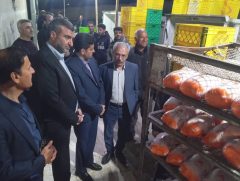 اولویت اصلی ما در استان ایلام تامین مرغ در سفره مردم است