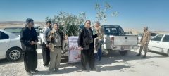 توزیع ۵۰۰ اصله نهال به شرکت کنندگان هفدهمین یادواره شهدای عملیات غرور آفرین والفجر ۵ در مهران
