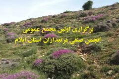 برگزاری اولین مجمع عمومی انجمن صنفی مرتعداران استان ایلام