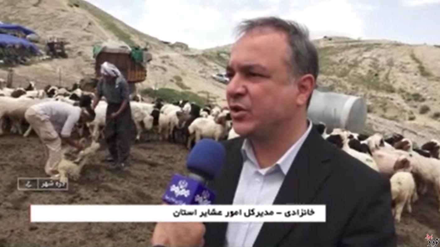 ۲ هزار تن پشم سهم ایلام از تولید ملی عشایر مریم بالوی فیلی خبرنگار نودادامروز تولید ۲ هزار تن پشم توسط عشایر ایلام , مریم بالوی فیلی خبرنگار نودادامروز