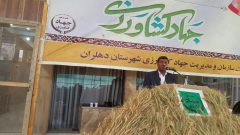 دهلران، پیشرو در تولید گندم و توسعه کشاورزی کشور