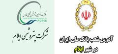 همکاری پتروشیمی ایلام و بانک ملی برای توسعه تعاملات مالی و صنعتی