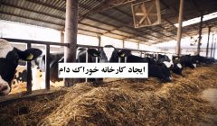ایجاد کارخانه خوراک دام، گامی بزرگ برای حمایت از عشایر