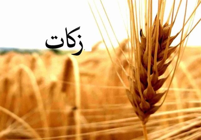 ساخت ۵ واحد مسکونی در دشت عباس با استفاده از زکات جمع آوری شده