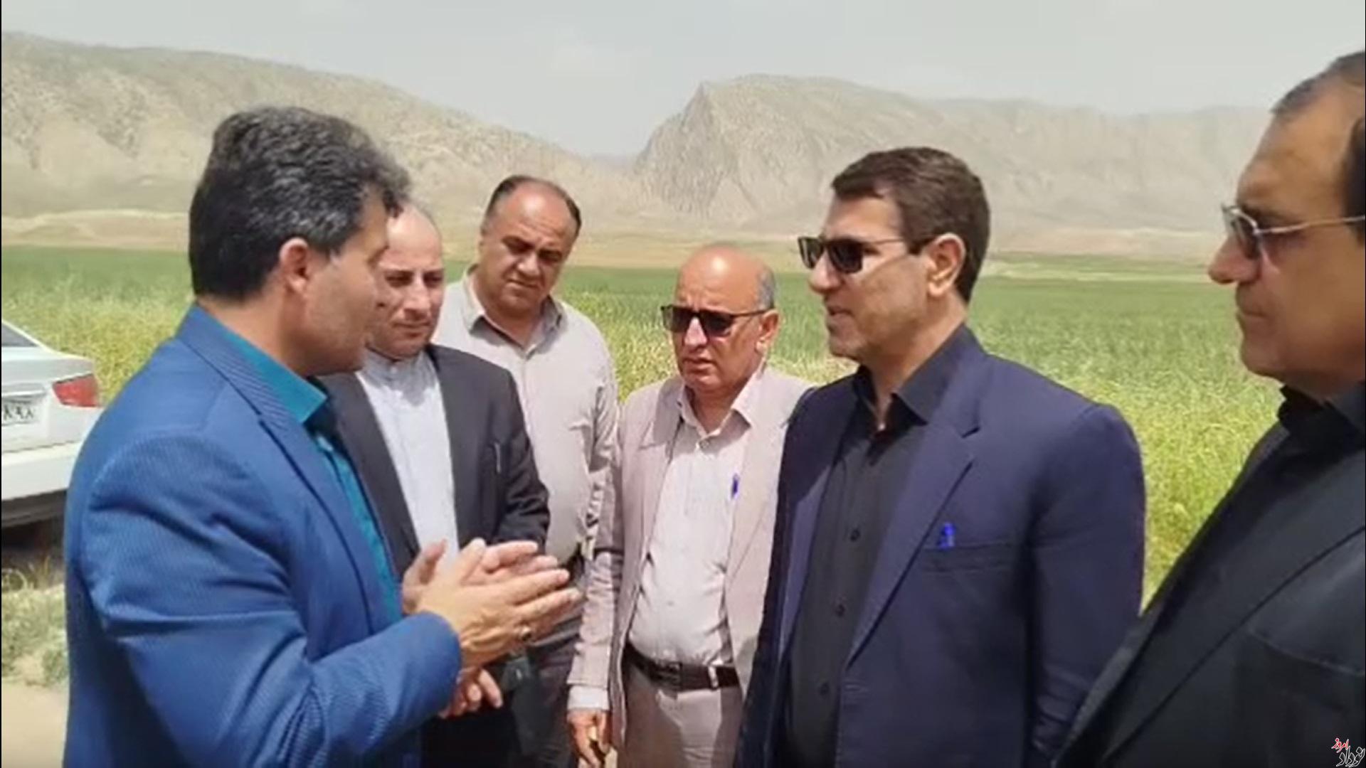 بررسی طرحهای عمرانی اربعین در محور چرداول-ایلام , مریم بالوی فیلی خبرنگار نودادامروز بررسی طرحهای عمرانی اربعین در محور چرداول-ایلام , مریم بالوی فیلی خبرنگار نودادامروز