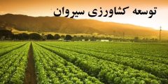 پیگیری توسعه کشاورزی سیروان با تأکید بر رفع چالش‌های زیرساختی