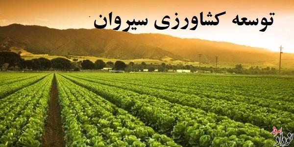 پیگیری توسعه کشاورزی سیروان با تأکید بر رفع چالش‌های زیرساختی