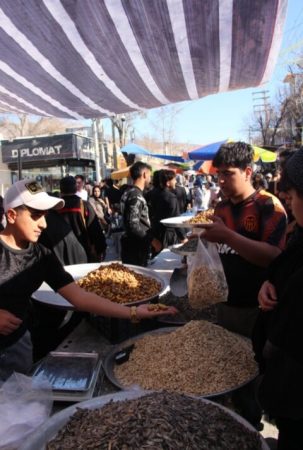 شهر ایلام در تب‌وتاب استقبال از سال نو / گزارش تصویری