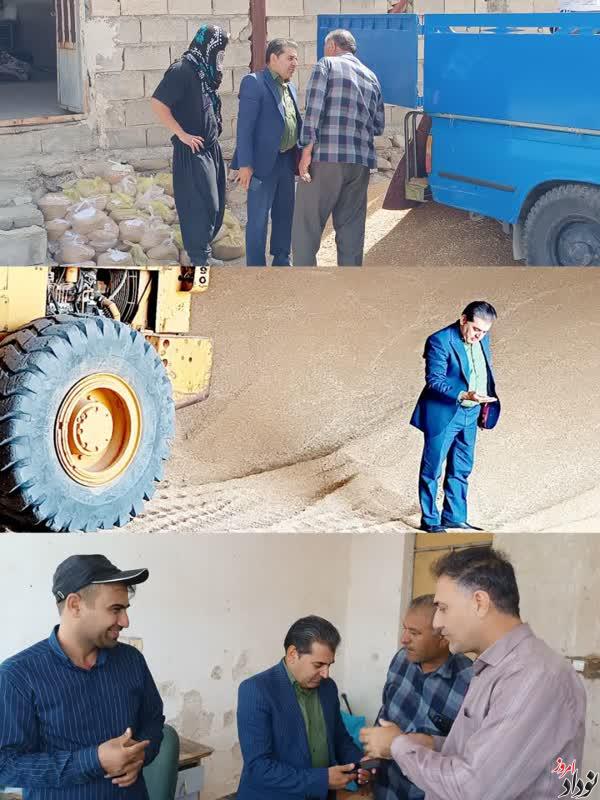 پیشبینی برداشت ۲۰ هزار تن گندم در دره شهر , آغاز برداشت غلات در ۱۱ هزار هکتار از اراضی شهرستان , مریم بالوی فیلی خبرنگار نودادامروز پیشبینی برداشت ۲۰ هزار تن گندم در دره شهر , آغاز برداشت غلات در ۱۱ هزار هکتار از اراضی شهرستان , مریم بالوی فیلی خبرنگار نودادامروز