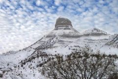 ایلام، زمستانی در دل بهار جمعیت