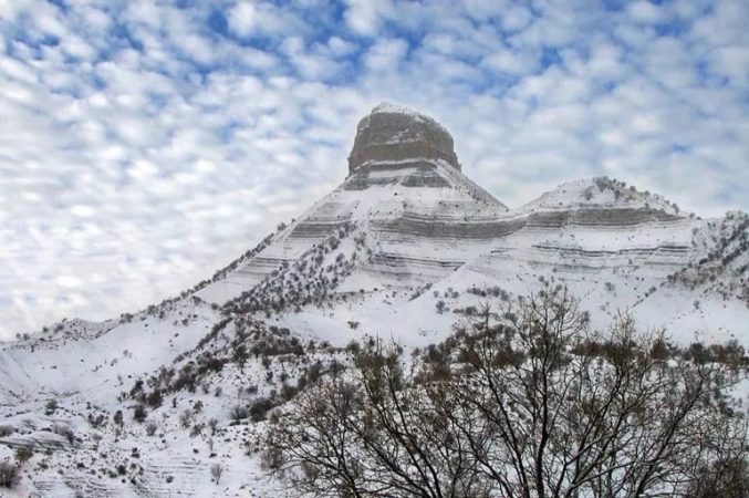 ایلام، زمستانی در دل بهار جمعیت