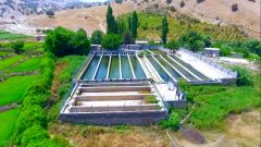 تولید سالانه ۱۲ هزار تن ماهی در ۲۶۵ مزرعه پرورش آبزیان استان ایلام
