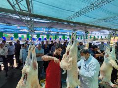 بیش از ۶۲۰۰ خانوار نیازمند از گوشت قربانی بهره‌مند شدند