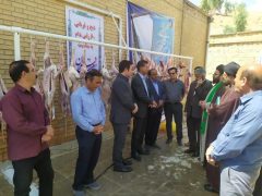 راه‌اندازی قربانگاه‌ها برای دریافت نذورات قربانی در استان ایلام