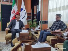 نیروی پدافند هوایی ارتش نقشی مؤثر در خدمات‌رسانی به زائران اربعین دارد