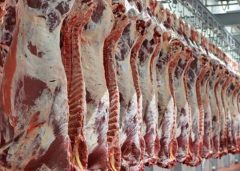 بازرسی بهداشتی دام‌های قربانی در ایلام / بیش از ۱۰۴ مورد اصلاح شد