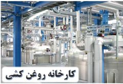ایجاد کارخانه‌های روغن‌کشی و بسته‌بندی استاندارد اولویت توسعه کشاورزی دهلران است