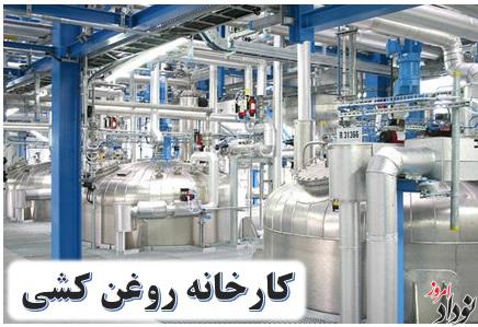ایجاد کارخانه‌های روغن‌کشی و بسته‌بندی استاندارد اولویت توسعه کشاورزی دهلران است