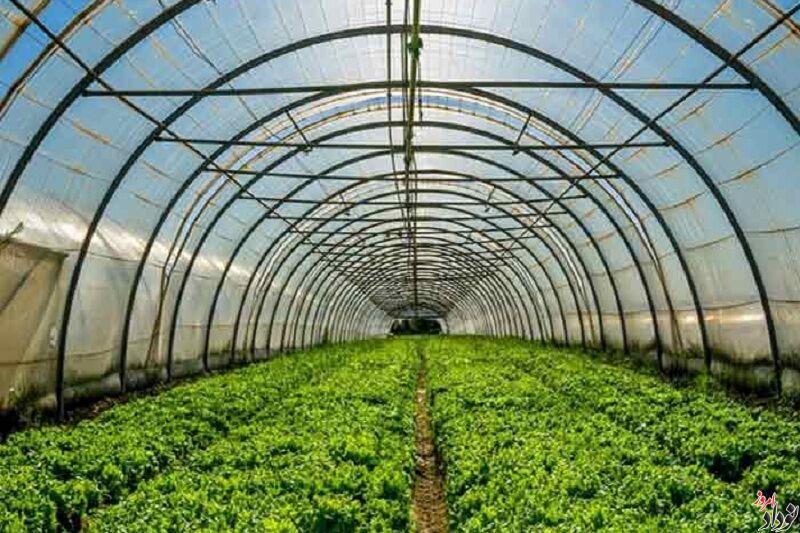 آغاز فعالیت رسمی مجتمع گلخانه‌ ای هلیلان , مریم بالوی فیلی خبرنگار نودادامروز