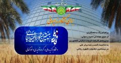 شرکت‌ های خدمات حمایتی کشاورزی به‌ عنوان دستگاه برگزیده ملی در جشنواره شهید رجایی معرفی شدند